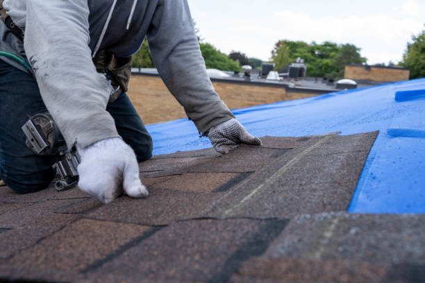 Roof Installation Near Me in Nashville, GA