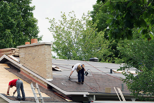 Best Roof Gutter Cleaning  in Nashville, GA