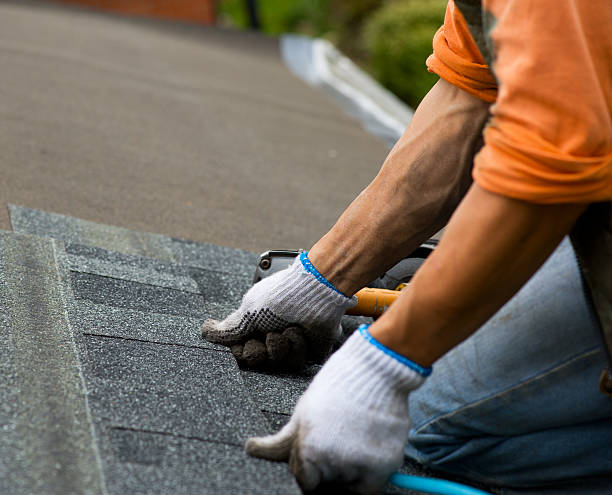 Best Roof Maintenance Services  in Nashville, GA