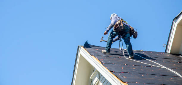 Best Gutter Installation and Roofing  in Nashville, GA